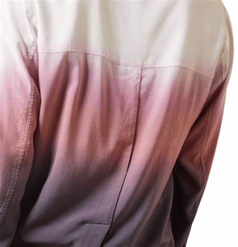 Women's Ariat Fade Top