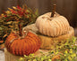 Mini Chenille Pumpkin - Set of 2