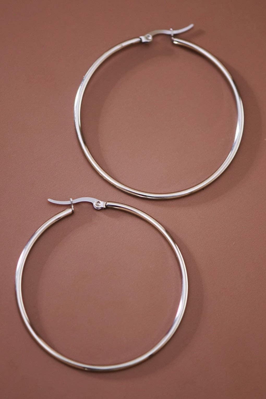 Stainless Steel Hoop Earrings