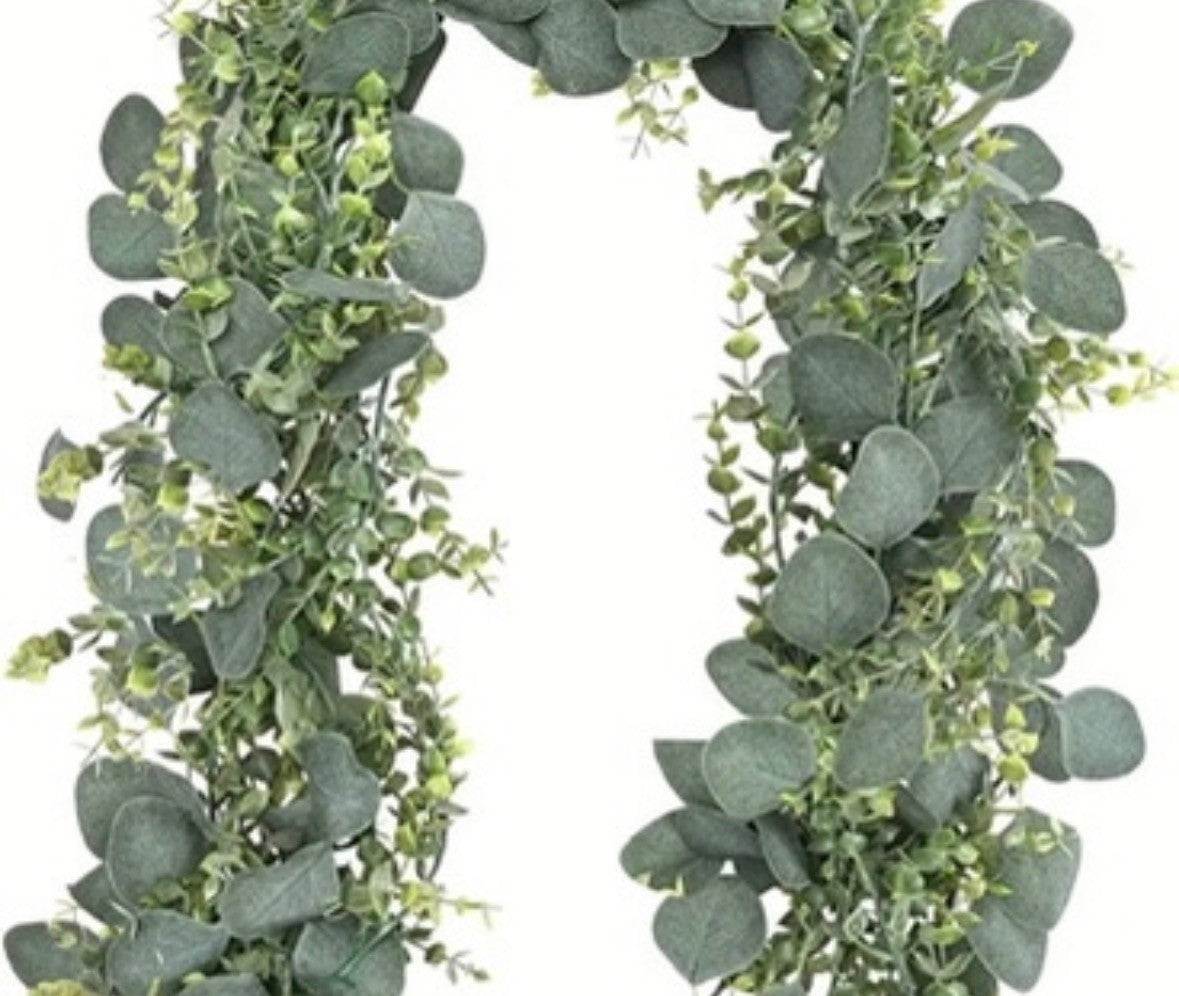 Eucalyptus Vine