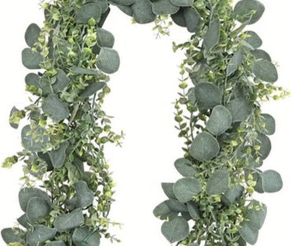 Eucalyptus Vine