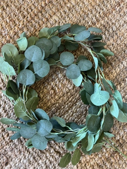 Eucalyptus Vine
