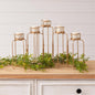 Serpentine Tiered Candle Holder