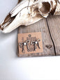 Western Coquette Bow Stone Stud Earrings