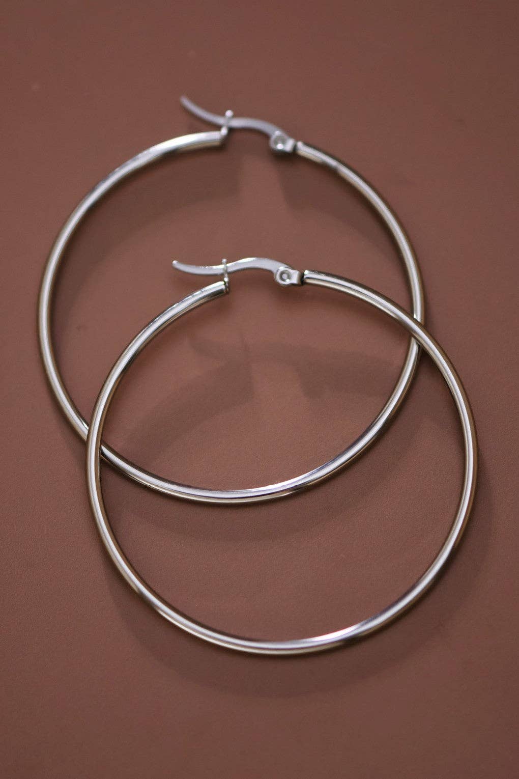 Stainless Steel Hoop Earrings