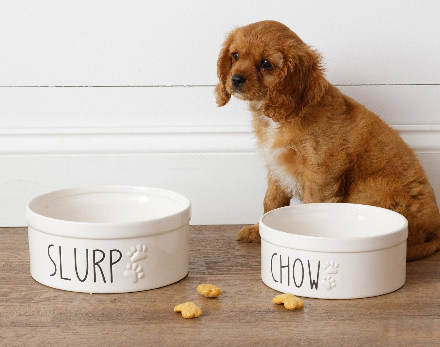 Ceramic Dog Bowls - Slurp and Chow