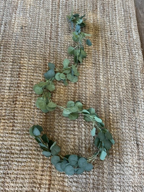 Eucalyptus Vine
