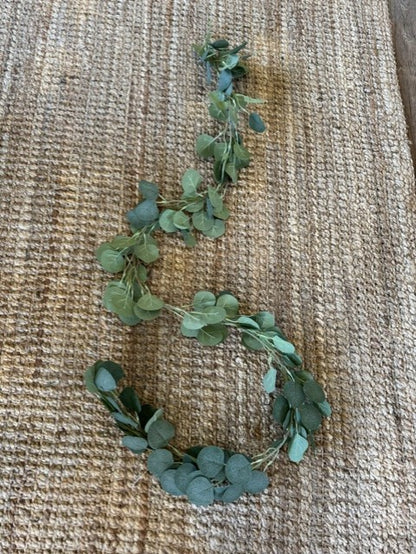 Eucalyptus Vine