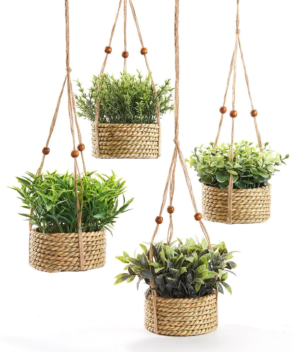 GARDEN & OUTDOORS  Hanging Life-Like Plant, 4 Asst. w/Displayer